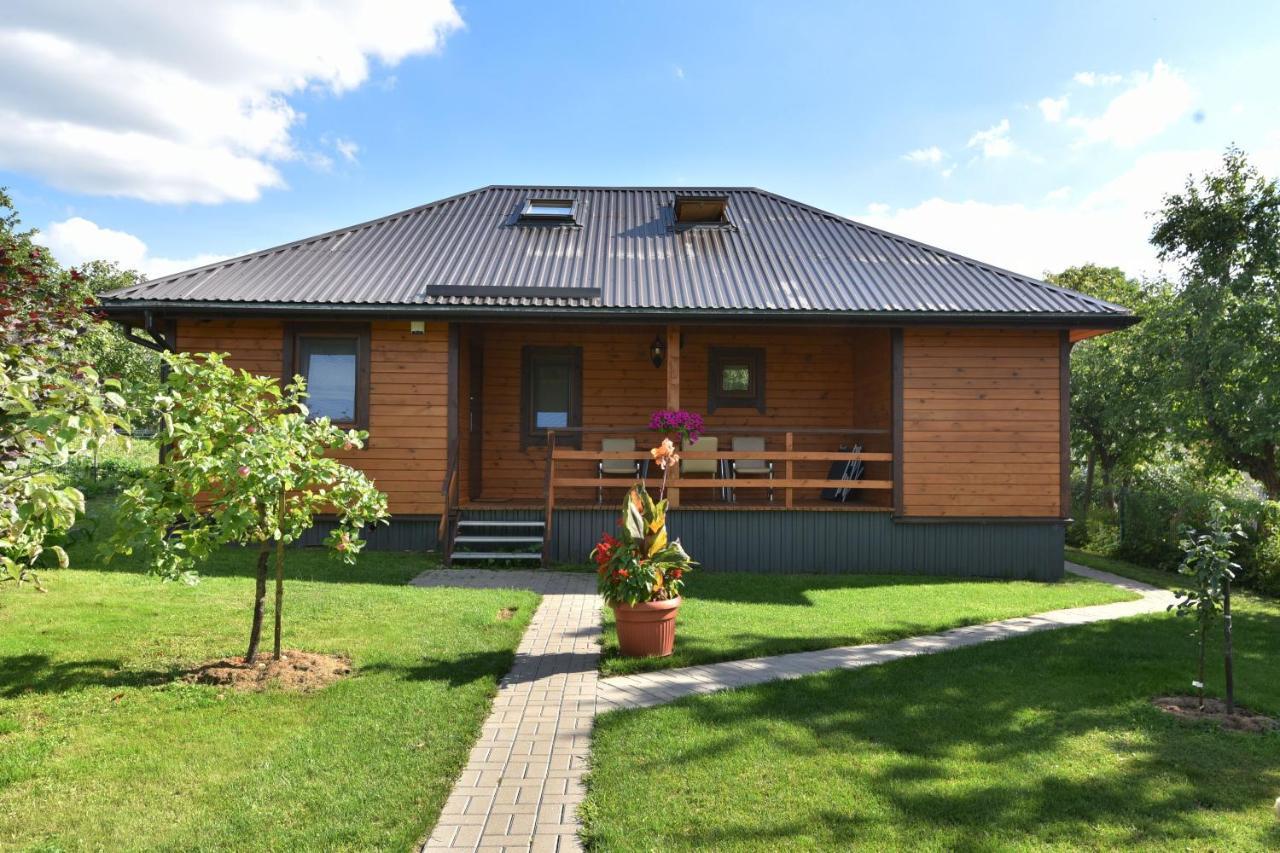 Vasarnamis Zarasuose Villa Zarasai Buitenkant foto