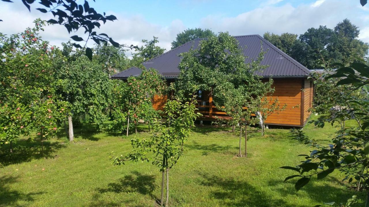 Vasarnamis Zarasuose Villa Zarasai Buitenkant foto
