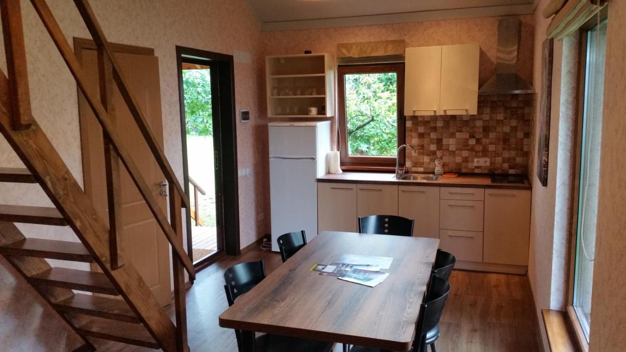 Vasarnamis Zarasuose Villa Zarasai Buitenkant foto